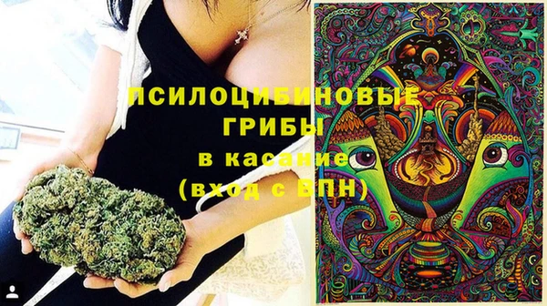 не бодяженный Лагань