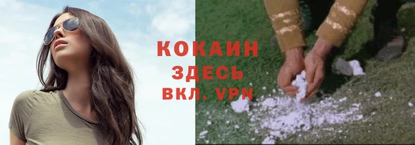 мескалин Ладушкин