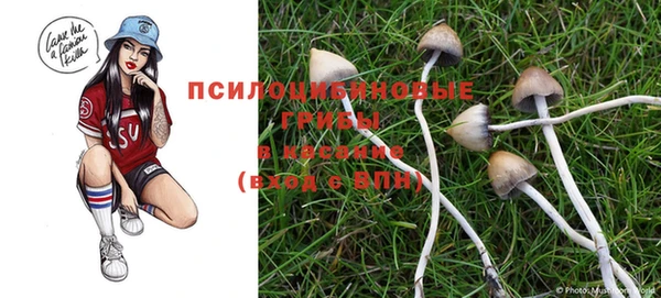 мескалин Ладушкин