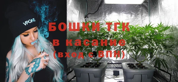 мескалин Ладушкин
