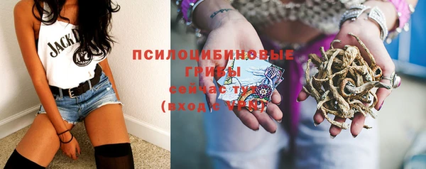mdma Снежногорск