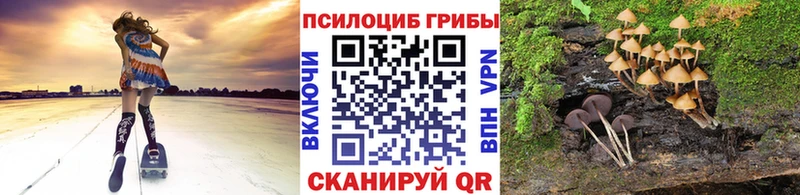 Псилоцибиновые грибы Psilocybine cubensis  Сибай 