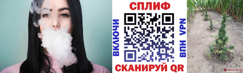Бошки марихуана индика  Сибай 